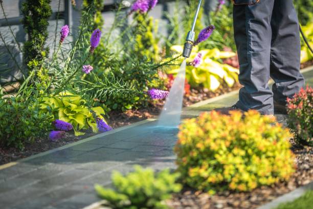 Trusted Runaway Bay, TX Pressure Washing Services Experts